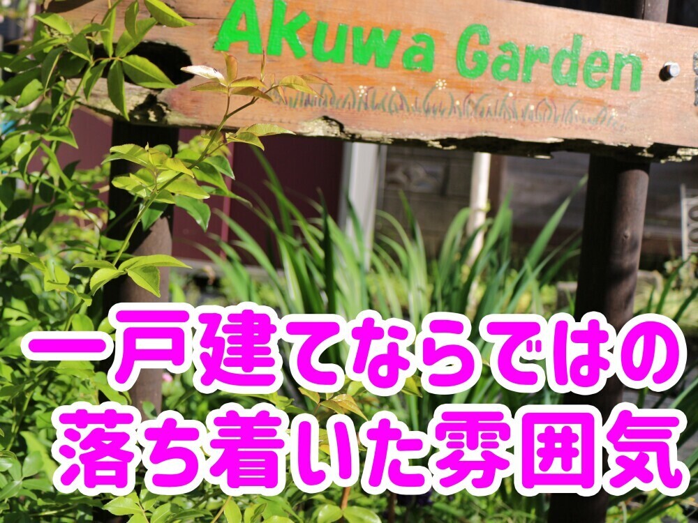 デイサービスの生活相談員兼介護員（正社員）